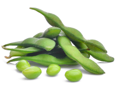 שרימפס צימחוני